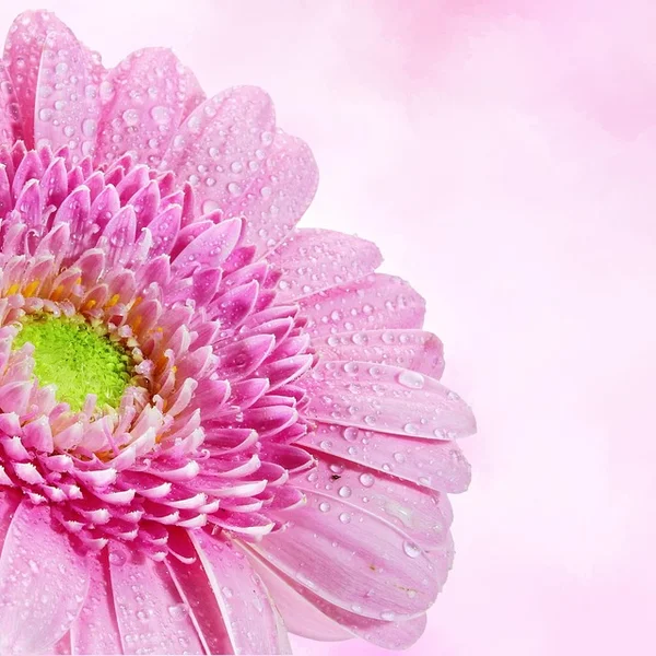 六合彩下注棋牌游戏